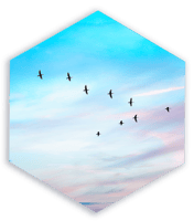 hexagon_1-1